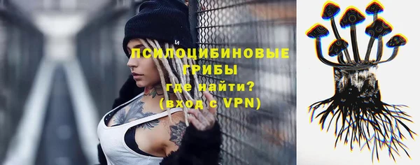 а пвп мука Бородино