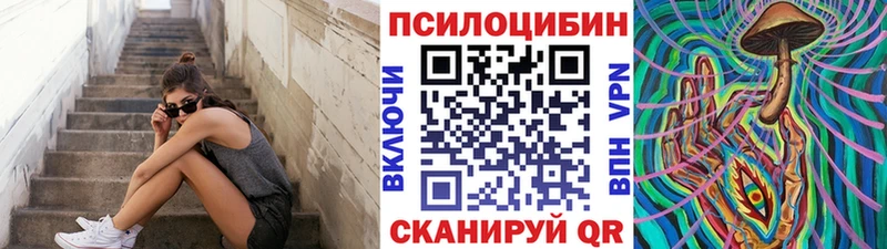 Псилоцибиновые грибы Cubensis  Нюрба 