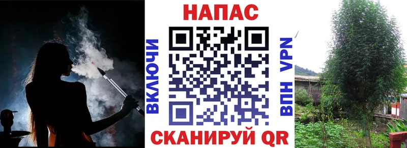 Бошки марихуана семена  цена наркотик  Нюрба 